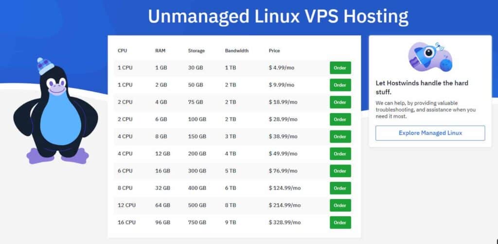 unmanaged vps hosting